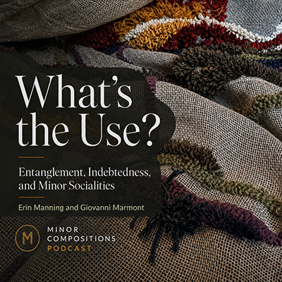 What’s the Use? Entanglement, Indebtedness, and Minor Socialities